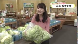 【みやざきふるさと中継】＜川南町 産直 おすず村＞1月18日 放送分
