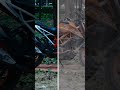 Color Grading #1