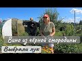 ВИНО ИЗ ЧЕРНОЙ СМОРОДИНЫ ВЫБРАЛИ ЛУК ВИНО ИЗ ЧЕРНОЙ СМОРОДИНЫ ВЫБРАЛИ ЛУК