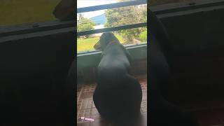 Time Porathey Theriyaama Vedika Pathitu Irruppa