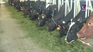 Vinamilk enjoys revenue growth in Q2