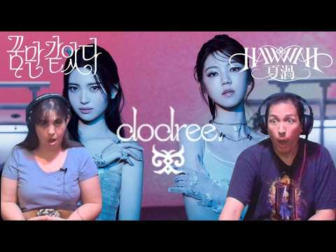 Siblings React | *First Time* dodree (도드리) "꿈만 같았다 (Just Like a Dream)" M/V & “HAWWAH (夏渦)” M/V