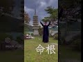 Japan Beauty Megumi Yuzuki मैं फरवरी में बोधगया जा रहा हूँ। 八百万の神々と舞う 奈良出身ダンスアーティスト