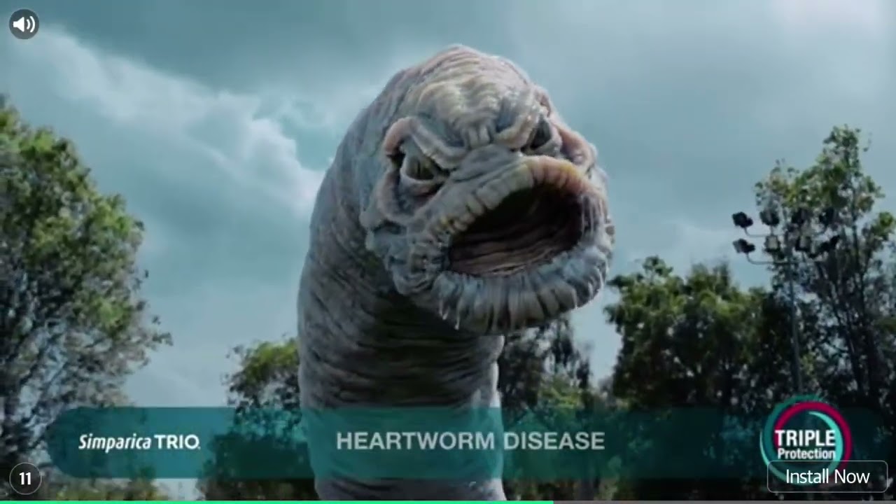 strange ad I keep getting in msm