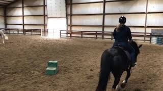 Alexis Gill Supplemental RRP 2023 Application Video