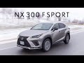 2019 Lexus NX300 F Sport Review - Luxurious Enough?