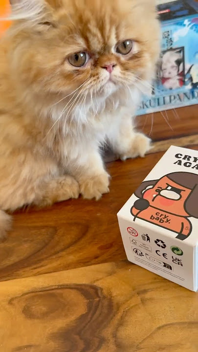 Unboxing:Crying Again x Cry baby #unboxing #blindbox #popmart #cryingbaby #asmr #bigintoenergy #yt