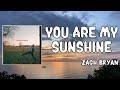 Miniature de la vidéo de la chanson You Are My Sunshine