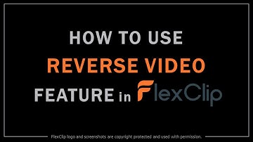 How to Use Reverse Video in FlexClip