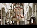 Bach  fugue in g major bwv 957  jacobs  netherlands bach society