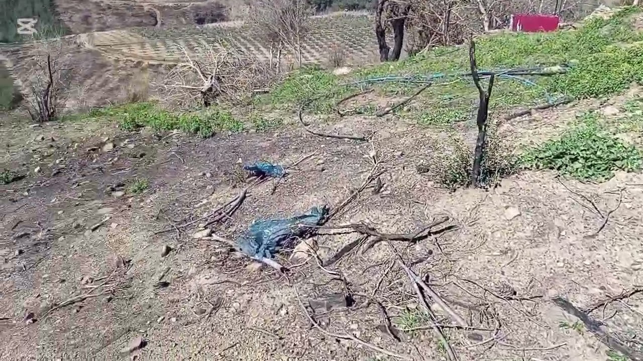 Yazın Yanan Payamlı Bölgesini Gezdik