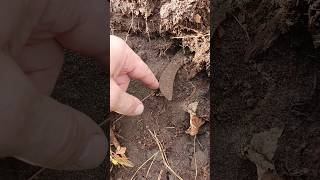 Что потеряло монгольское иго при наступлении на Русь-матушку??? Лесной #коп #история