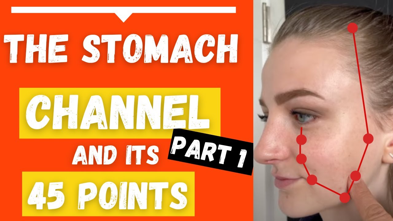 The Stomach Channel Meridian Acupuncture Points location & Functions (Part 1) YouTube