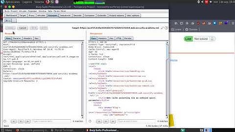 Web cache poisoning via an unkeyed query parameter