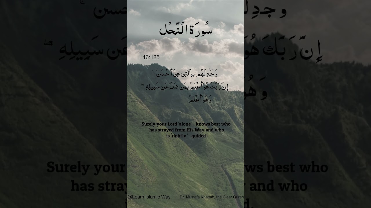 Surah Al Nahl Ayat No 16 : 125 126 Arabic | سورۃ النحل With English Translation  #quran #allah #yts