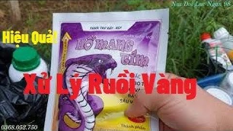 Ruồi Vàng Tấn Công Mạnh Quả Táo Xuân, Táo Đài Loan Thì Xử Lí Thế Nào I Nui Doi Luc Ngan 98