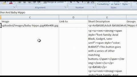 Import Advanced Gallery Images - Websiteforge Ecommerce Website