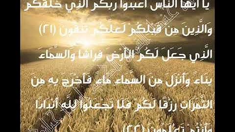 سورة البقرة من اية ١٦ الى اية ٢٤ القارئ فارس عباد
