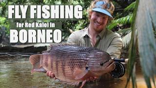 Fly Fishing & Jungle Camping In Borneo Fishing For Red Kaloi - F3T 2025 Official Selection
