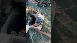 IMG 0244