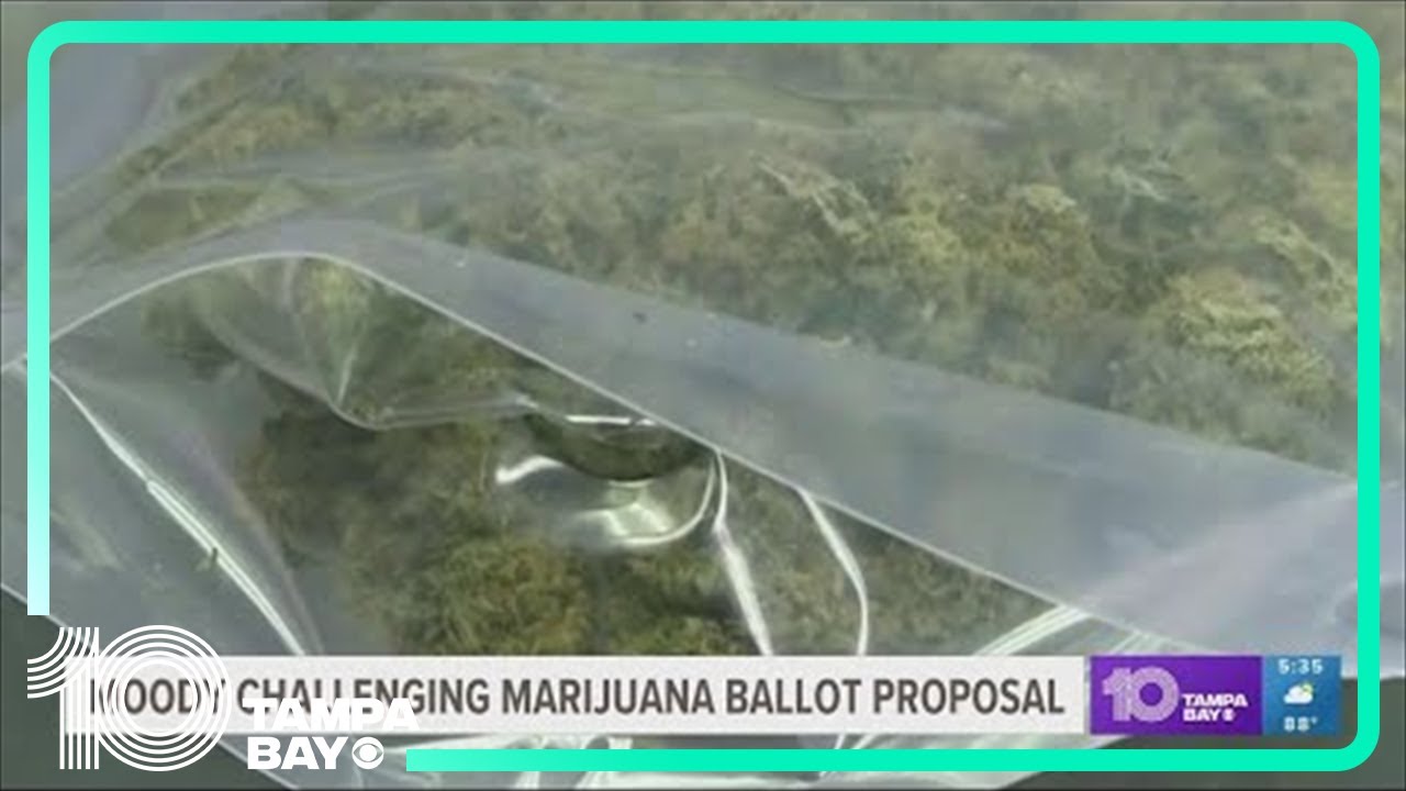 Marijuana proposal goes to Florida Supreme Court - YouTube