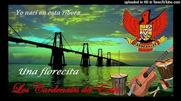 Una Florecita  - Los Cardenales del Éxito.
