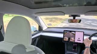 Tesla Model Y Performance: Performance Test