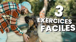 3 EXERCICES FACILES pour votre chien !