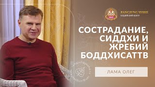 Сострадание, сиддхи и жребий боддхисаттв