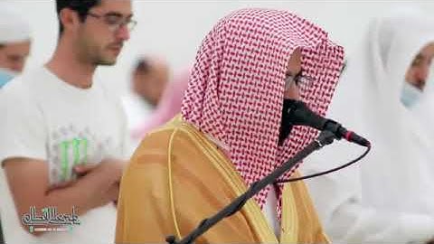 قصة سيدنا نوح وابنه سورة هود بصوت الشيخ ناصر القطامي