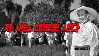 저 말 한마디에 4000만명이 증발했다 (11분 순삭ver.) #효기심73