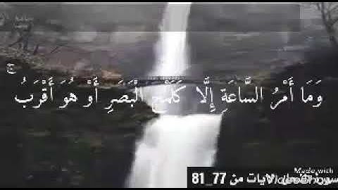 تلاوة من سورة النحل