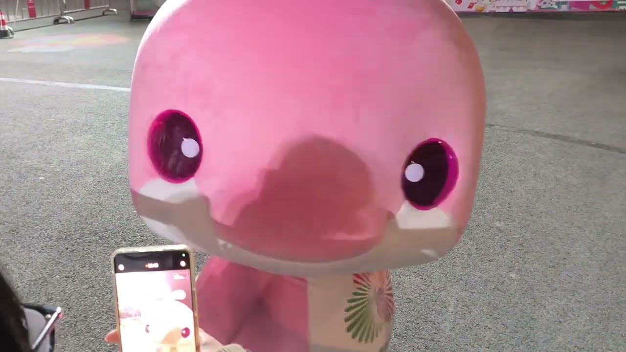 擅长各种舞姿的小粉 真厉害