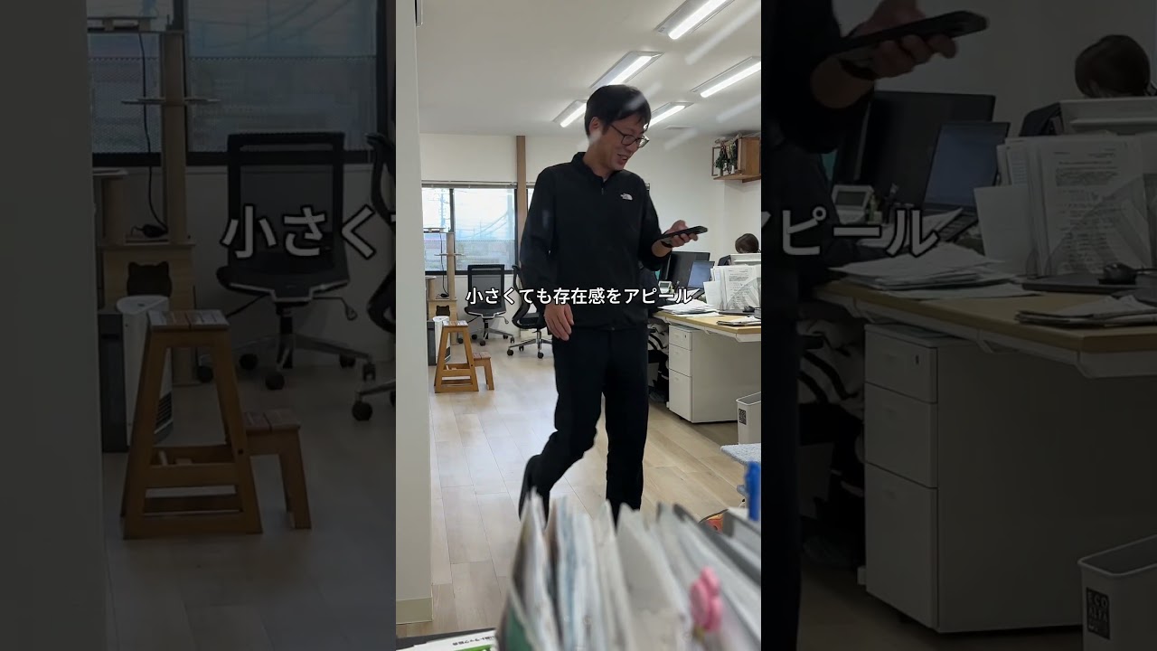 会社猫ふくの日常😸奪ってでも手に入れるくらい強欲でなければ生き抜けない世界です😤ちなみに空いてるイスはいくつもあります😅#株式会社日章 #会社猫 #イス取りゲーム