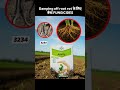agriculture🌾 80% dictionary damping off root rot fungicide