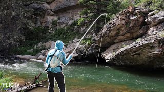 4 Days Camping + Fishing the Bighorn Mountains (WORLD CLASS Trout Fishing)