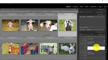 Lightroom Classic CC- Retrieving a Missing Toolbar