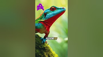 Quiz #171 #quiz #quiztime #brainteasers #testyourknowledge #quizmaster #trivia #quizshow #puzzle