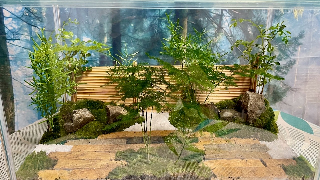 Building a Japanese Courtyard Terrace Garden | Stone & Moss