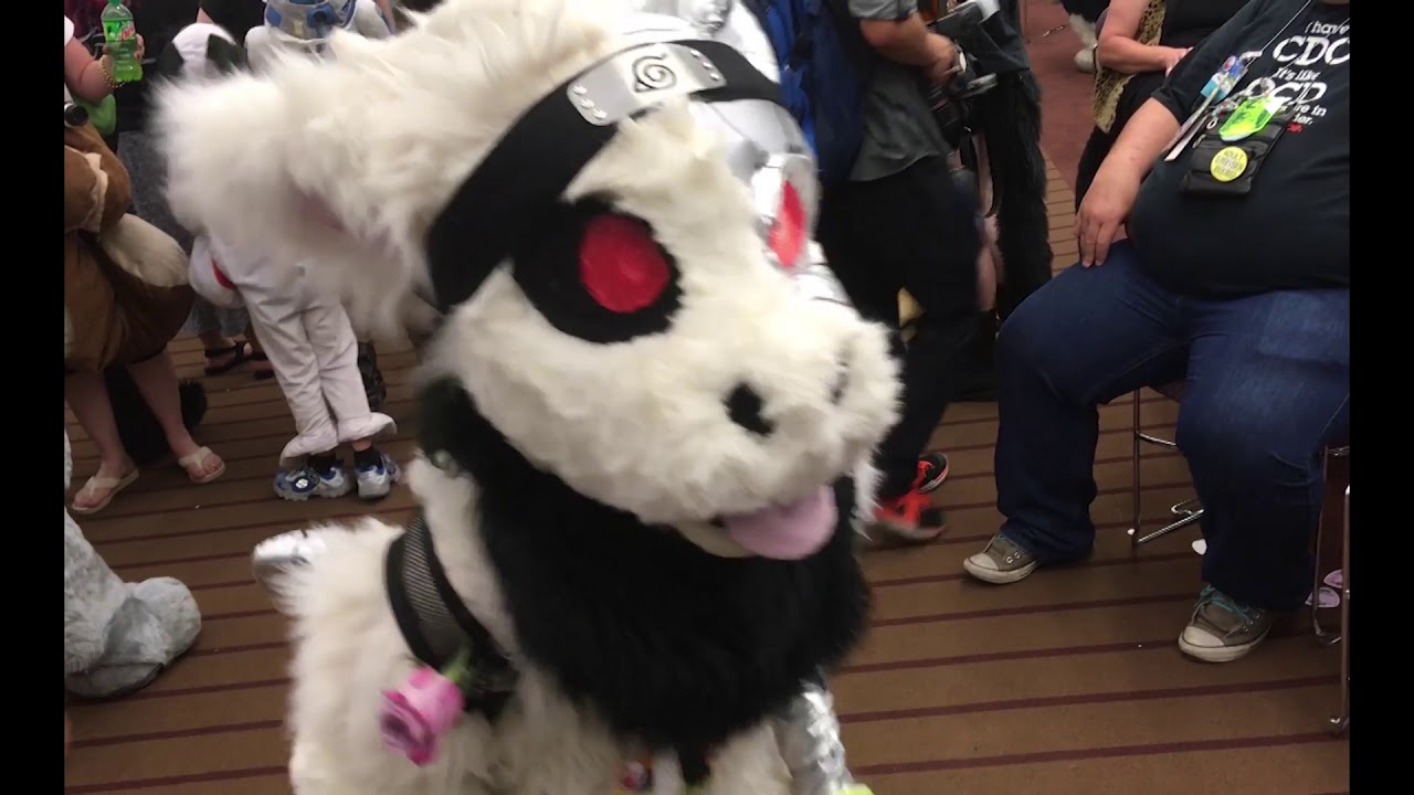 Dutch Angel Dragons at Anthrocon 2017