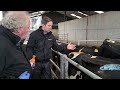 Dairy Breeding Series - Episode 6 Heat Detection