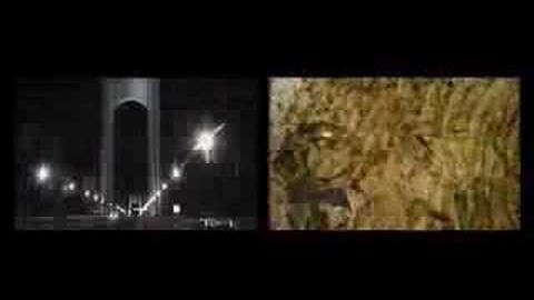 video installation: the four year sequence