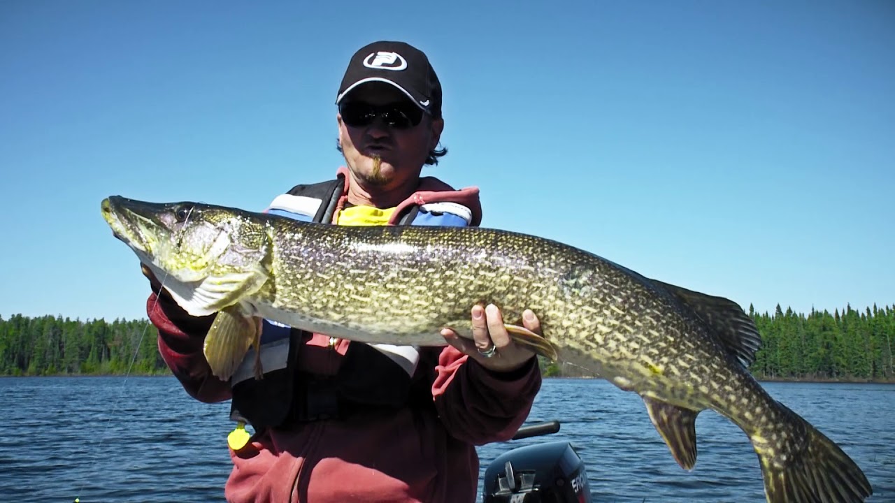 Fishing Northern Pike in Algoma Country YouTube