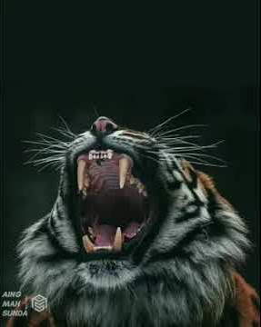 jati diri sunda sejati