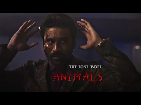 Avik san - the lone wolf | Dhanush | the gray man whatsapp status - animals