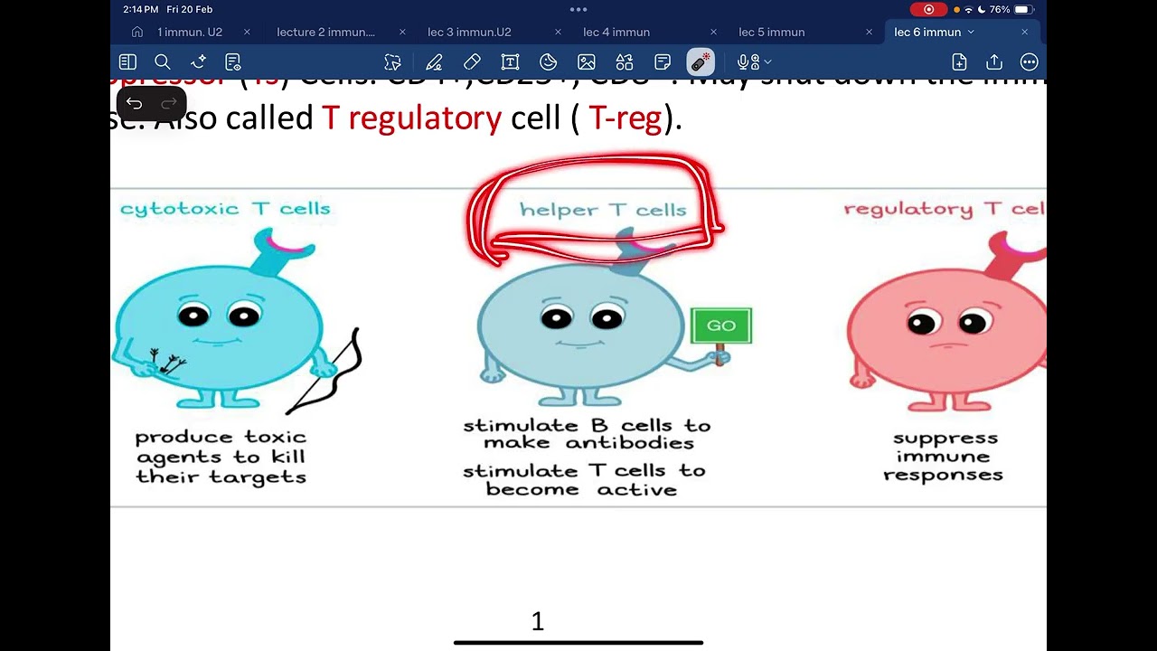 جامعة وارث الأنبياء- كلية الطب - المناعة السادسة