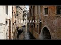 Nova coleo trussardi  la serenissima