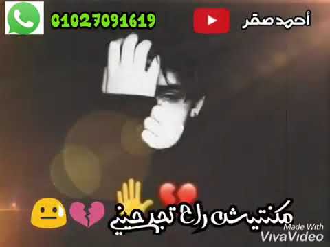 يحيي علاء على ايه بتودعينى حالات واتس   3  3360