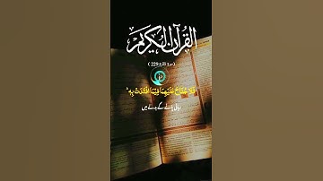 Surah Al-Baqarah229| by Sheikh Mishary Alafasy  سورة البقرة | بصوت الشيخ مشاري العفاسي