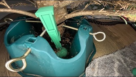 Keep your Christmas Tree fresh with a simple water level sensor